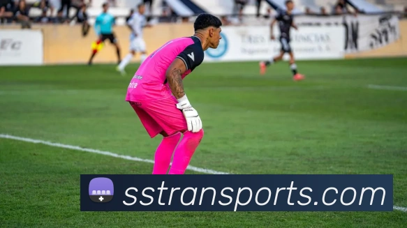 体育下注APP 体育赛事宣传图